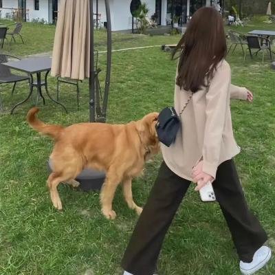 绝对碧昂丝